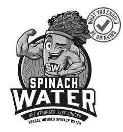 WHAT YOU SHOULD BE DRINKING SW SPINACH WATER GET STRONGER, LIVE LONGER HERBAL INFUSED SPINACH WATER trademark