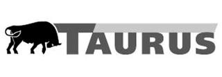 TAURUS trademark