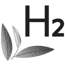 H2 trademark