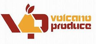 VP VOLCANO PRODUCE trademark