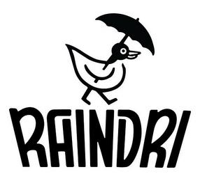 RAINDRI trademark