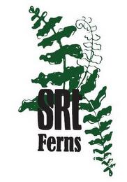 SRT FERNS trademark