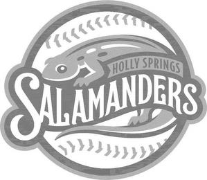 HOLLY SPRINGS SALAMANDERS trademark