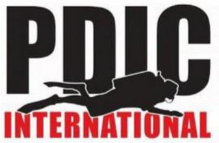 PDIC INTERNATIONAL trademark