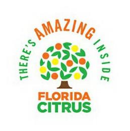 THERE'S AMAZING INSIDE FLORIDA CITRUS trademark