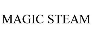 MAGIC STEAM trademark