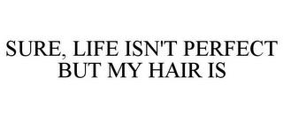 SURE, LIFE ISN'T PERFECT BUT MY HAIR IS trademark