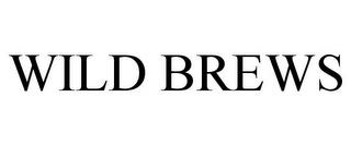 WILD BREWS trademark