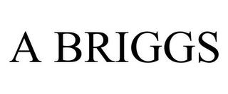 A BRIGGS trademark