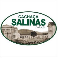 CACHAÇA SALINAS DESDE 1989 trademark