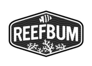 REEFBUM trademark