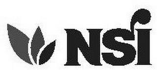 NSI trademark