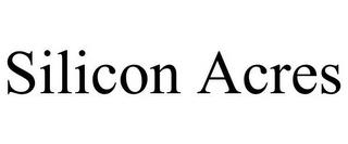 SILICON ACRES trademark