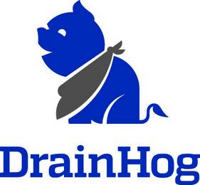 DRAINHOG trademark