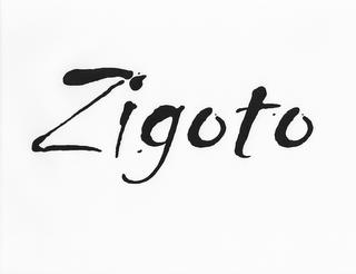 ZIGOTO trademark