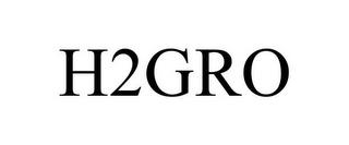 H2GRO trademark