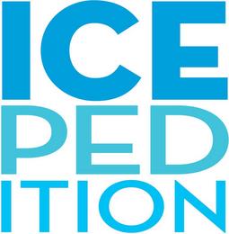 ICEPEDITION trademark