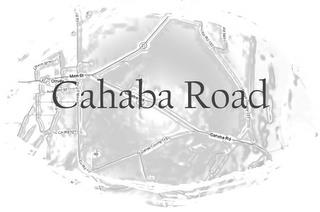 CAHABA ROAD, ORRVILLE, MAIN ST, ACADEMY ST, CHURCH ST, DALLAS COUNTY 115, DALLAS COUNTY 122, CO RD 122, RD 345, 22 trademark