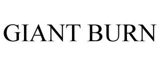 GIANT BURN trademark