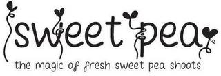 SWEET PEA THE MAGIC OF FRESH SWEET PEA SHOOTS trademark