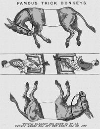 FAMOUS TRICK DONKEYS. CUT ON THE LINES AND LAY THE THREE PIECES SO AS TO SHOW THE JOCKEYS RACING. trademark