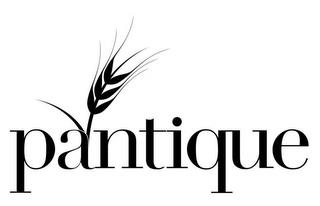 PANTIQUE trademark