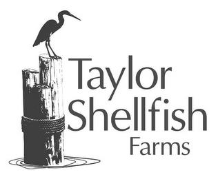 TAYLOR SHELLFISH FARMS trademark