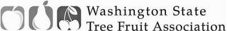 WASHINGTON STATE TREE FRUIT ASSOCIATION trademark