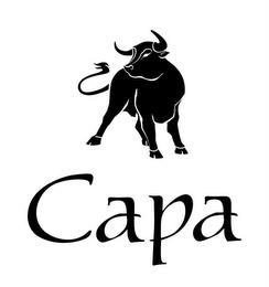 CAPA trademark