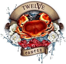 TWELVE XII CANCER PAUL MICHALSKI trademark