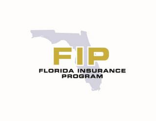 FIP FLORIDA INSURANCE PROGRAM trademark