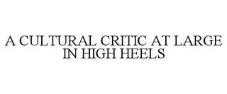 A CULTURAL CRITIC AT LARGE IN HIGH HEELS trademark