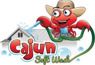 CAJUN SOFT WASH trademark