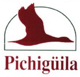 PICHIGÜILA trademark