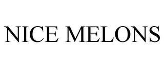 NICE MELONS trademark