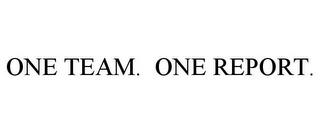 ONE TEAM. ONE REPORT. trademark