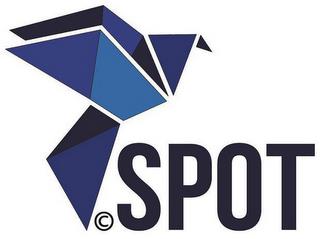 C SPOT trademark