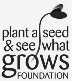 PLANT A SEED & SEE WHAT GROWS FOUNDATION trademark