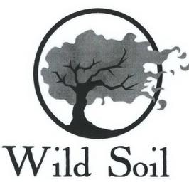 WILD SOIL trademark