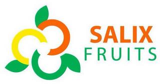 SALIX FRUITS trademark