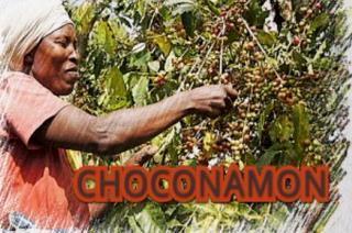 CHOCONAMON trademark