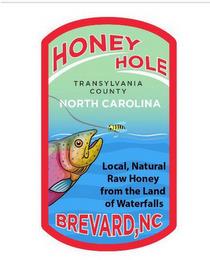 HONEY HOLE TRANSYLVANIA COUNTY NORTH CAROLINA LOCAL, NATURAL RAW HONEY FROM THE LAND OF WATERFALLS BREVARD, NC trademark