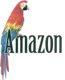 AMAZON trademark