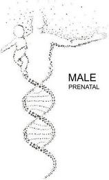 MALE PRENATAL trademark