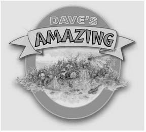 DAVE'S AMAZING trademark