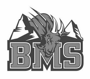 BMS trademark