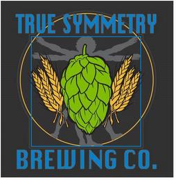 TRUE SYMMETRY BREWING CO. trademark