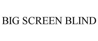 BIG SCREEN BLIND trademark