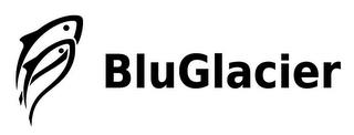 BLUGLACIER trademark