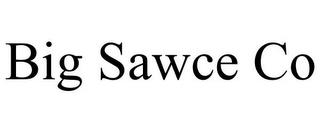 BIG SAWCE CO trademark